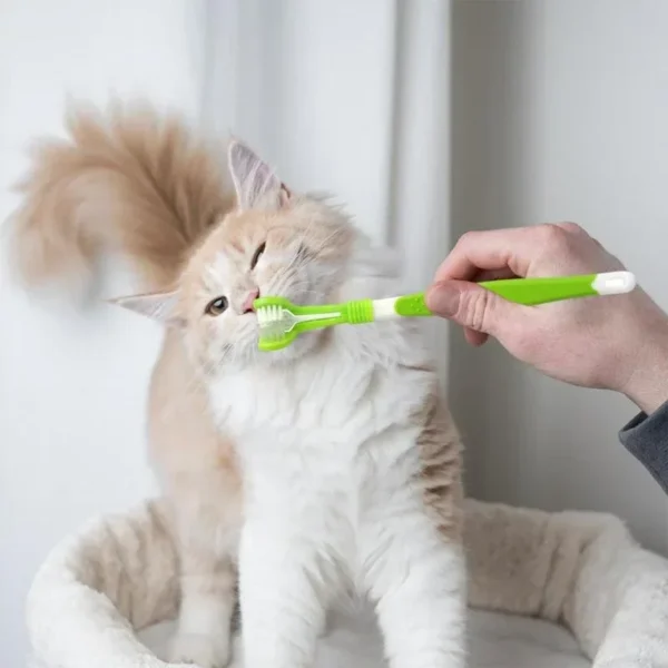 3-Sided Cat Toothpaste Toothbrush for Dental Care - Image 2