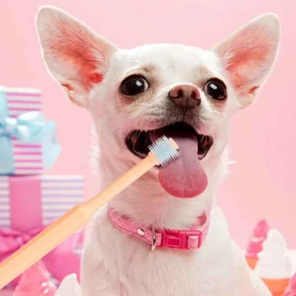 360-Degree Pet Toothbrush with Cat Toothpaste: Soft Hair, Small Head Brush