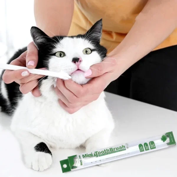 Cat Toothpaste: Pet Toothbrush for Dogs & Cats - Image 2