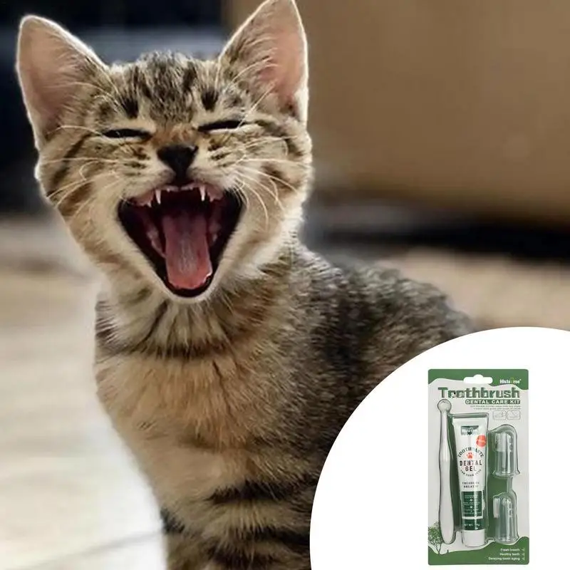 cat tooth paste