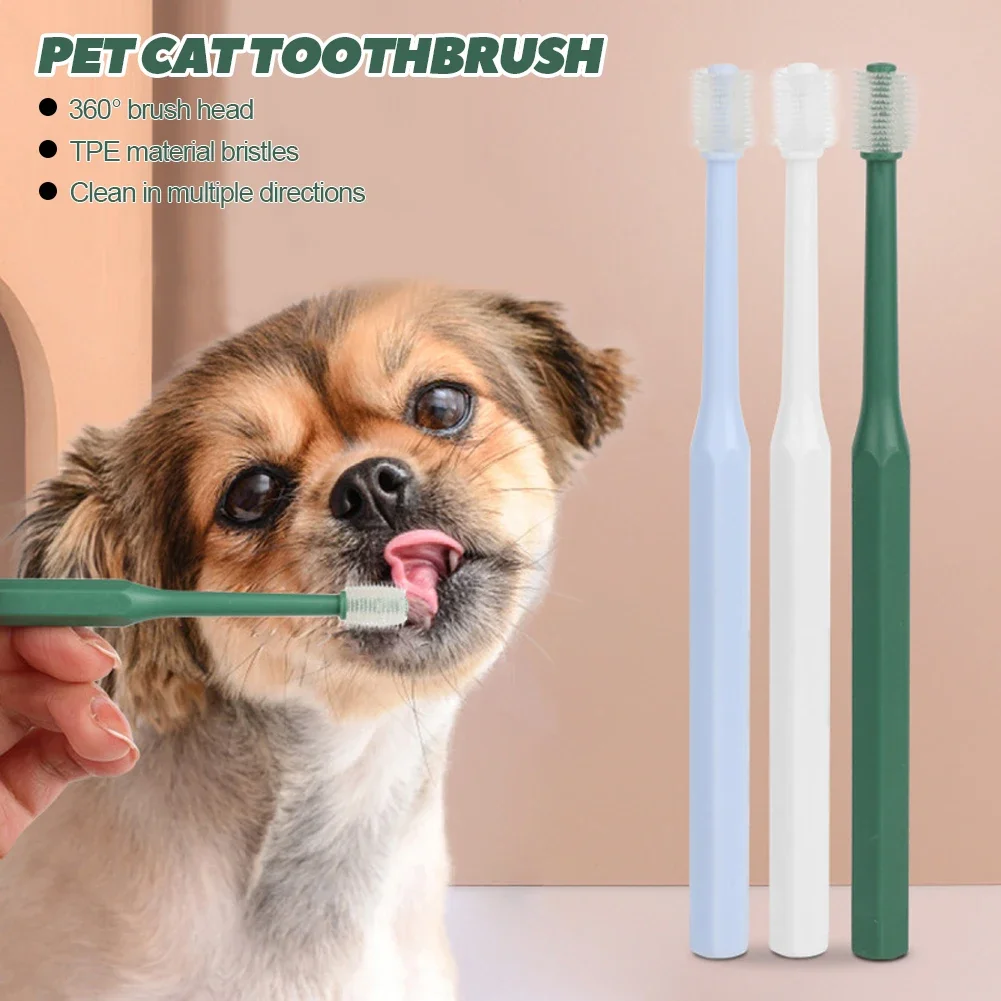 Cat Toothpaste Super Soft Nylon Bristles Toothbrush For Oral Cleaning, Acne Care - Image 3