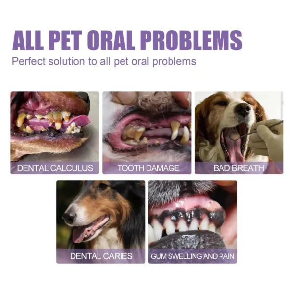 Cat Toothpaste Repair Gel: Stain Remover, Prevents Calculus for Pet Teeth - Image 5