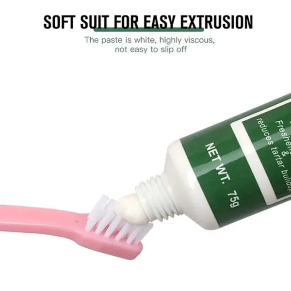 Cat Toothpaste: Teeth Cleaning, Toothbrush, Dogs And Cats Oral Care - Image 4