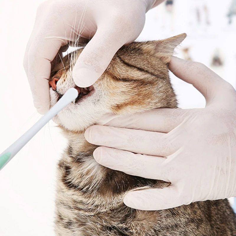 Cat Toothpaste Small-Head Brush, Soft Bristles for Fresh Breath Care - Image 4