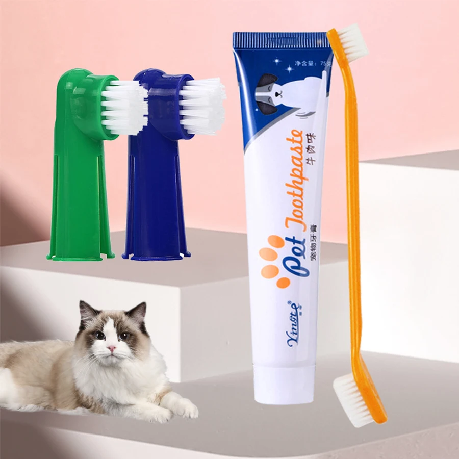 Cat Toothpaste Toothbrush Set 2025: Complete Pet Dental Care Solution