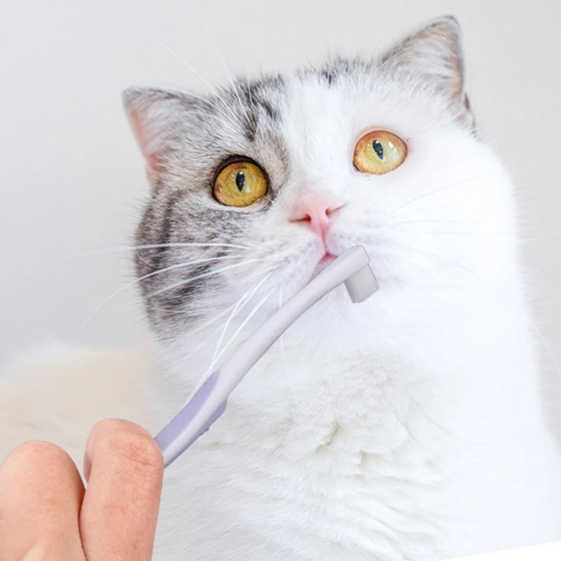Cat Toothpaste Small-Head Brush, Soft Bristles for Fresh Breath Care - Image 5