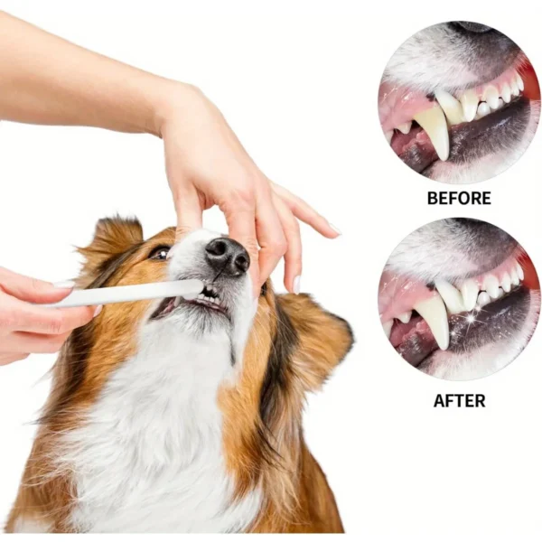 Cat Toothpaste Brush Kit: All-in-One Pet Dental Care Solution - Image 6