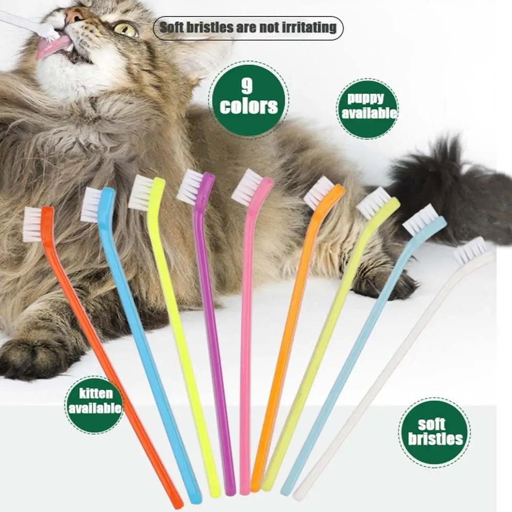 Cat Toothpaste, Dog Toothbrush, Bad Breath Care, Nontoxic Brush Tool - Image 5