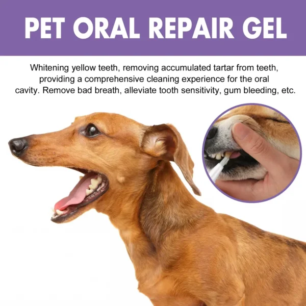Cat Toothpaste Repair Gel: Stain Remover, Prevents Calculus for Pet Teeth - Image 6