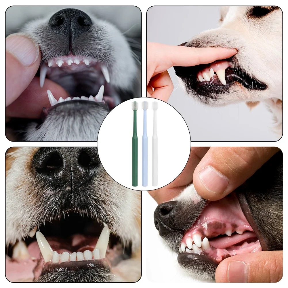 Cat Toothpaste Super Soft Nylon Bristles Toothbrush For Oral Cleaning, Acne Care - Image 6
