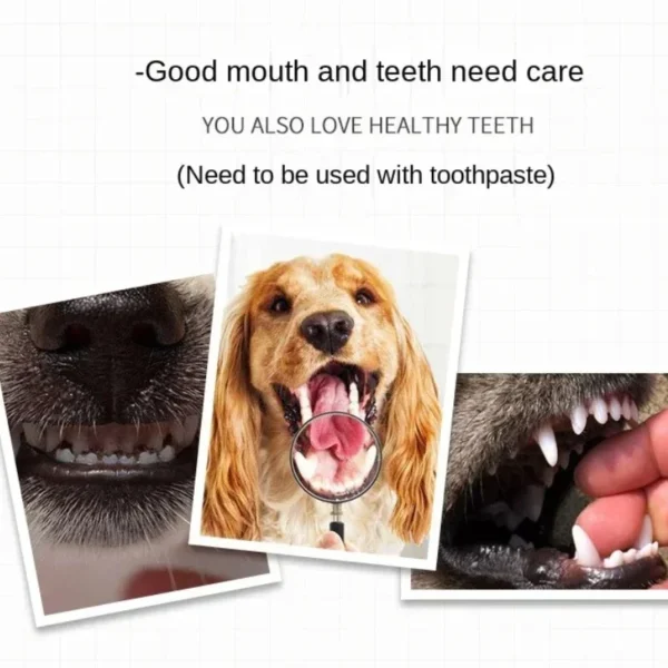 Cat Toothpaste Brush Set: Complete Dental Care Kit for Pets - Image 2