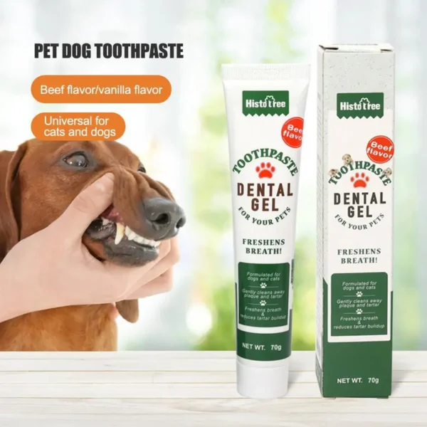 Cat Toothpaste: Teeth Cleaning, Toothbrush, Dogs And Cats Oral Care