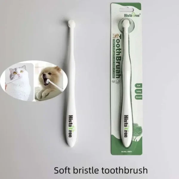 Cat Toothpaste: Pet Oral Cleaning Tools