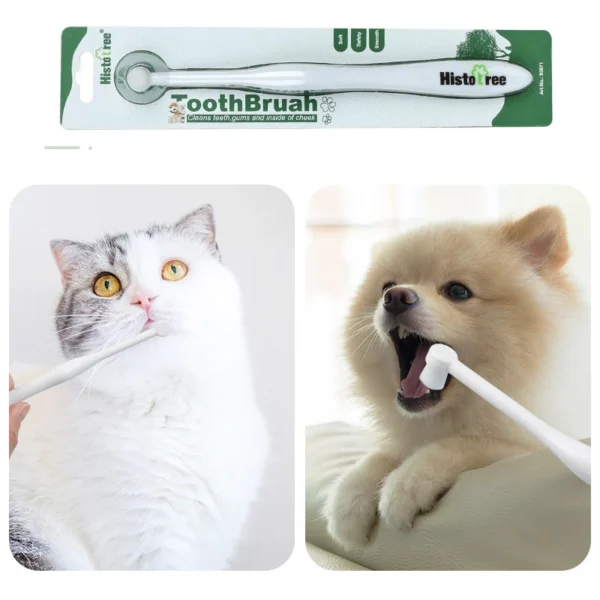 Cat Toothpaste: Soft Bristle Pet Toothbrush