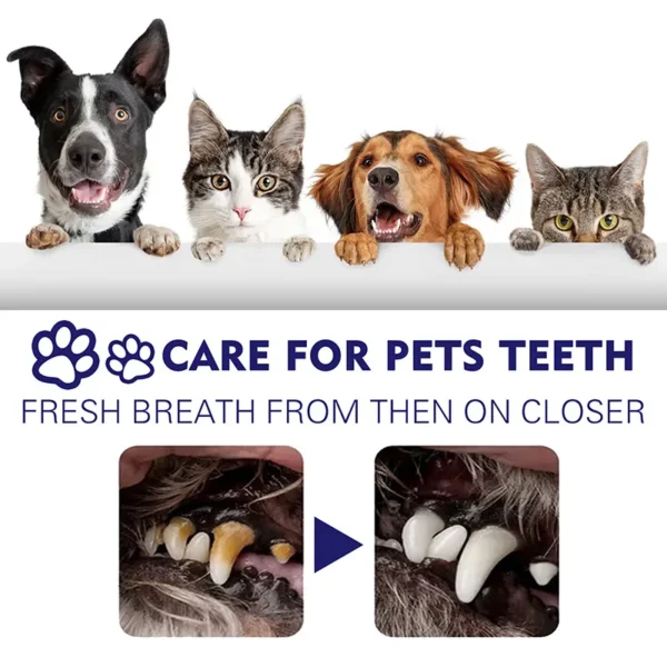 60g Cat Toothpaste for Gum Disease & Bad Breath - Image 5