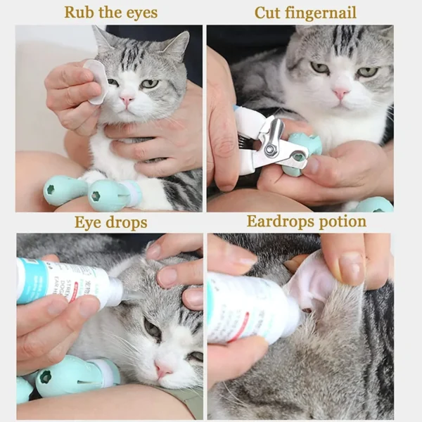 Cat Toothpaste: Anti-Scratch Cat Foot Shoes Set. - Image 2